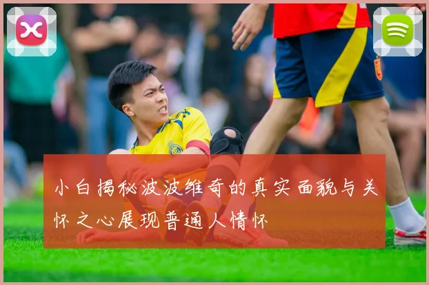 小白揭秘波波维奇的真实面貌与关怀之心展现普通人情怀